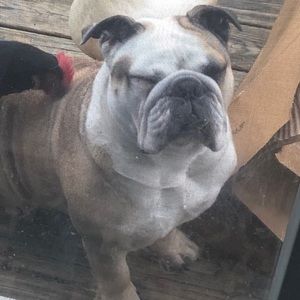 Meet your Posher, Aimee